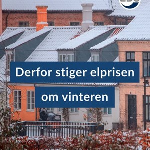 Opslagsbillede