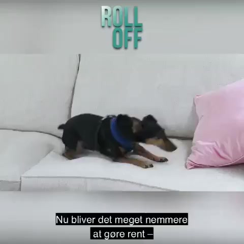 Se dagens updates fra Odder her