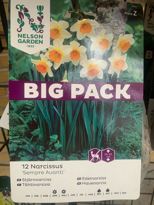 En finger på pulsen i Brønderslev