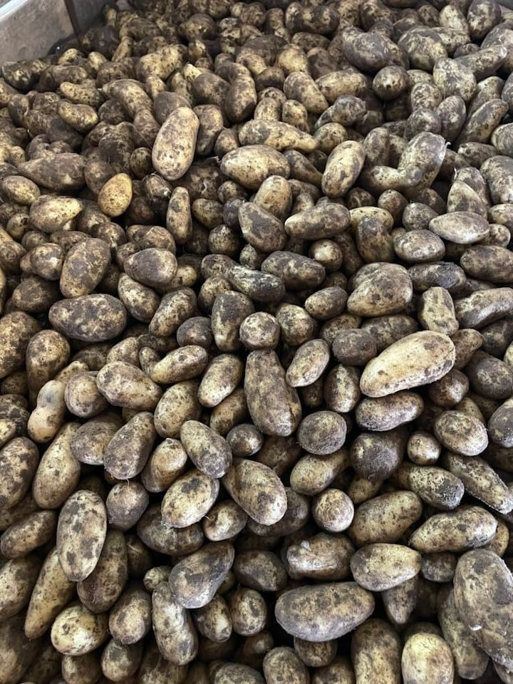 Hold trit med lokalområdet: Nyt fra Sæby