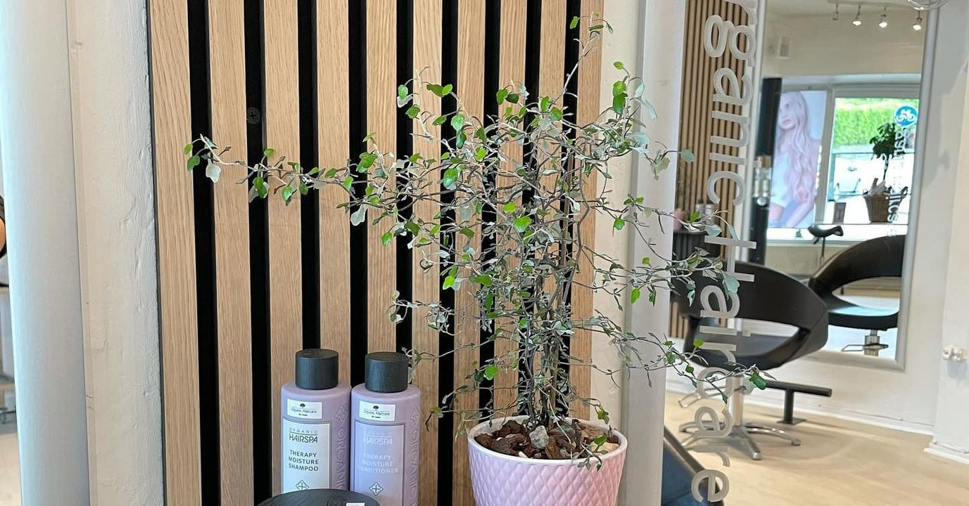 Teknisk fejl hos YouSee: Ring på 61678643 for tidsbestilling hos Organic Hair Care - By Carøe