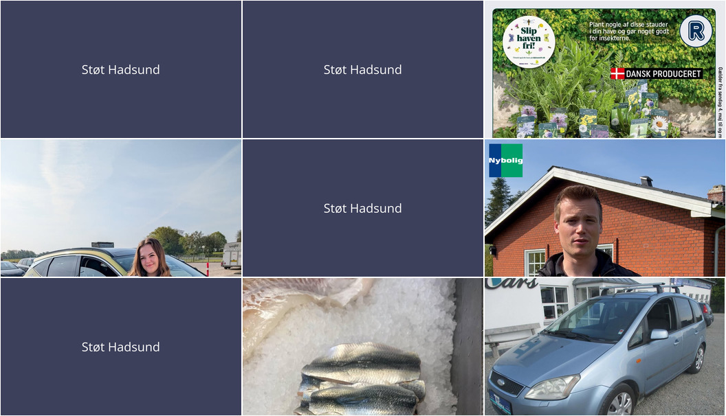 Nyt fra Nybolig Hadsund, REMA 1000 Hadsund, TT CARS ApS og 2 andre