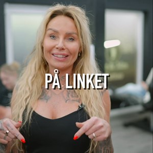 Opslagsbillede