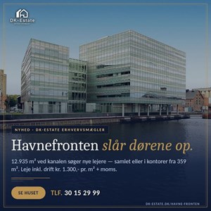 opslagsbillede