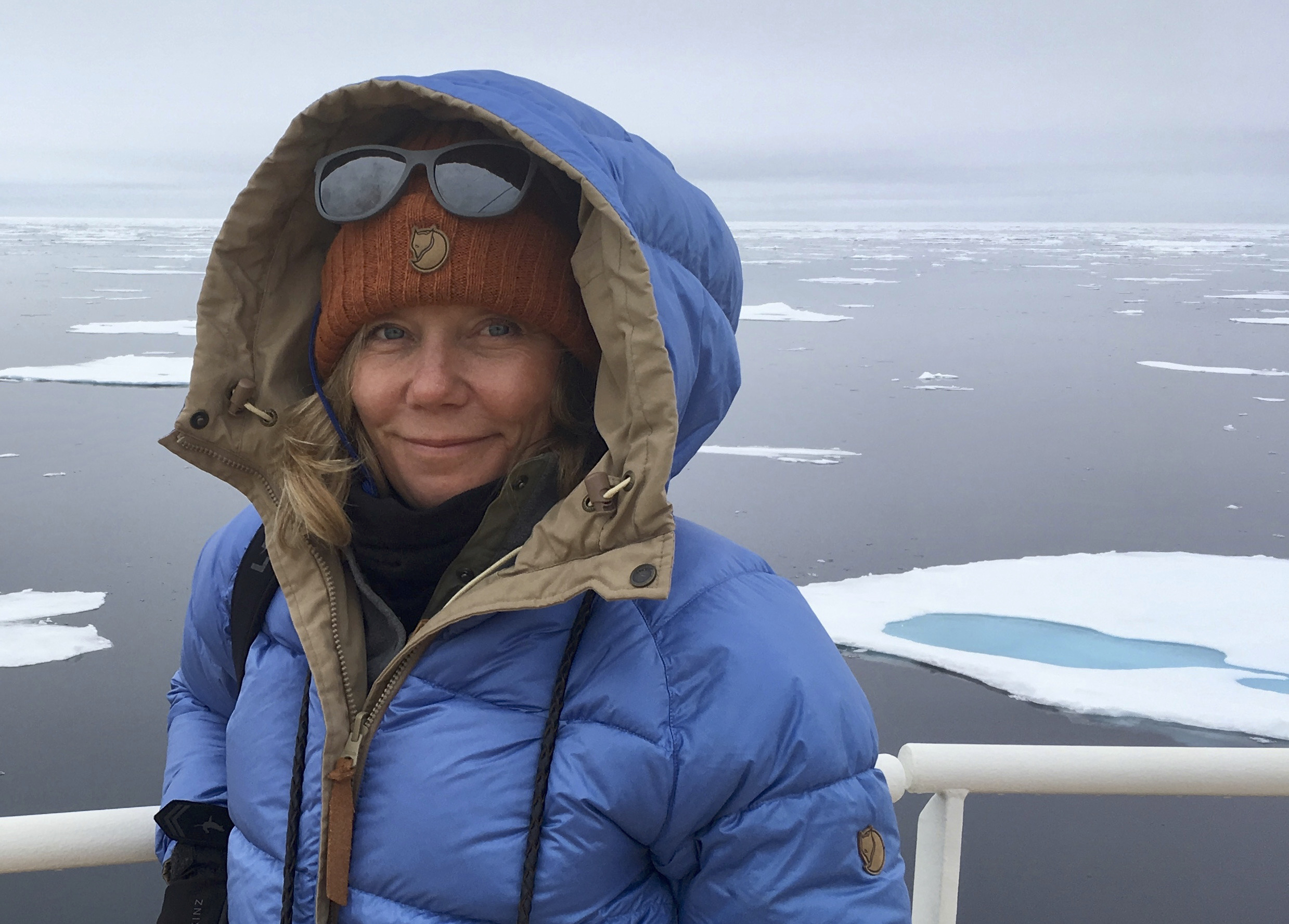 Oplev Arktis' vilde dyreliv ved Øresundsakvariet