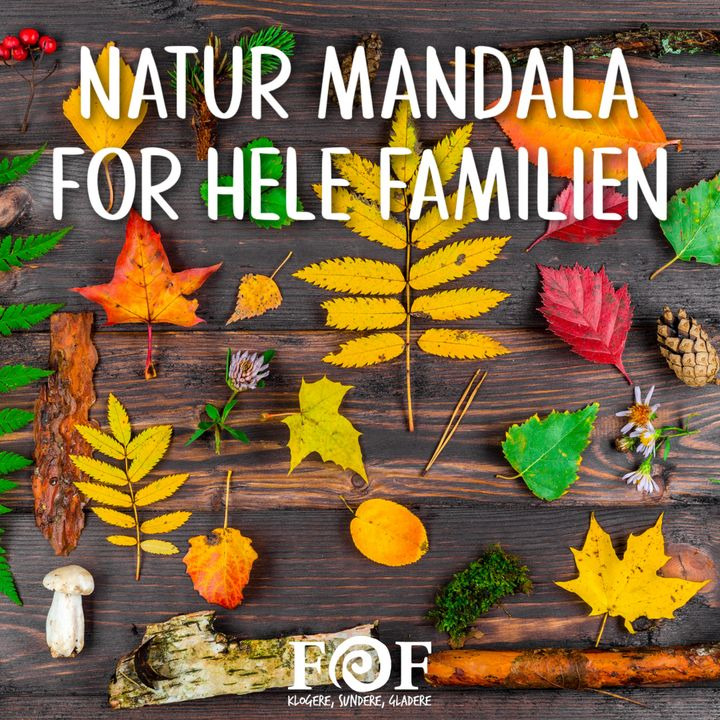 Opslagstavlen: Nyeste opdateringer fra Horsens