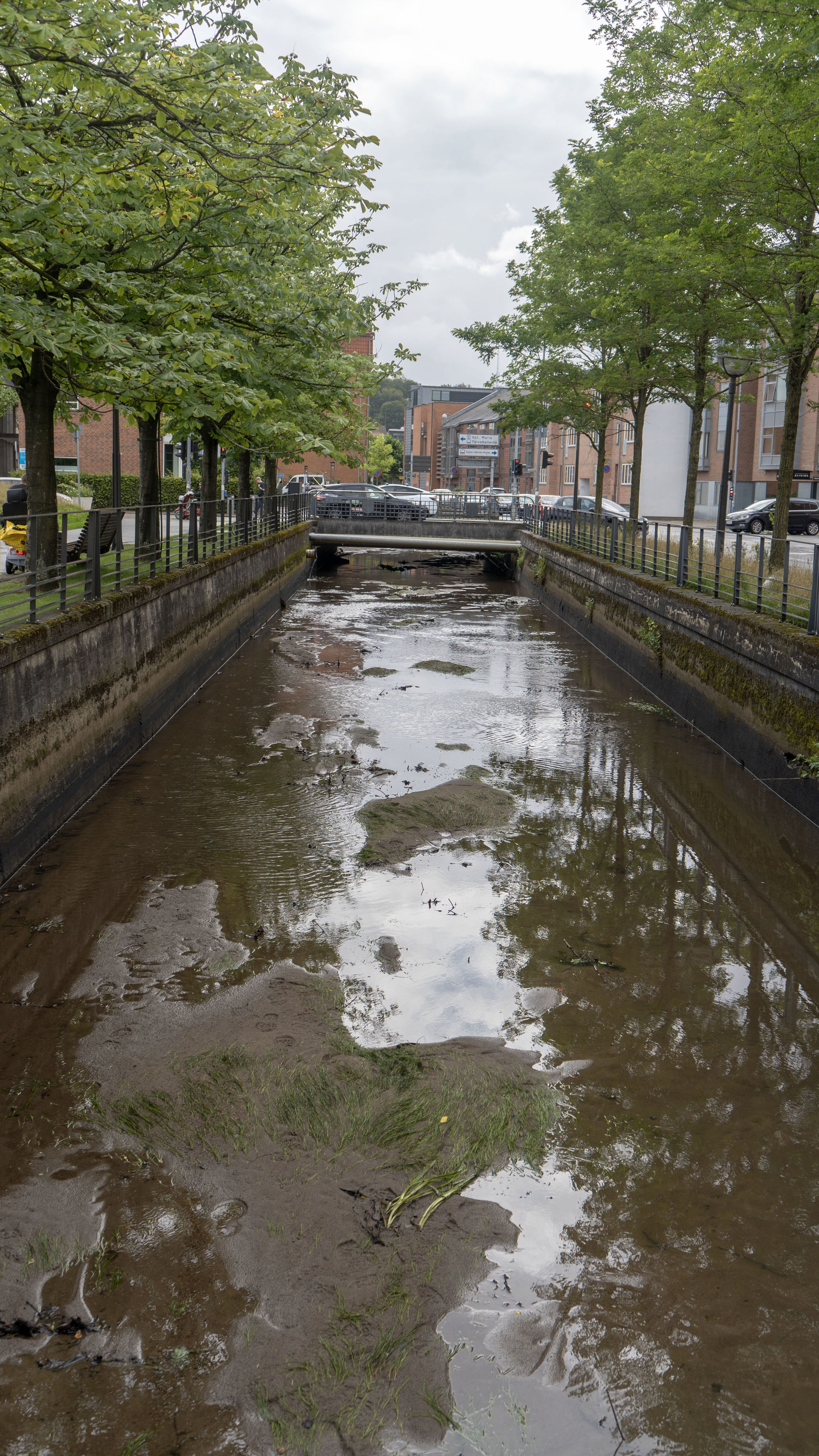 Vejle Kommune tømmer Omløbsåen for at forbedre vandkapaciteten og håndtere stigende nedbør