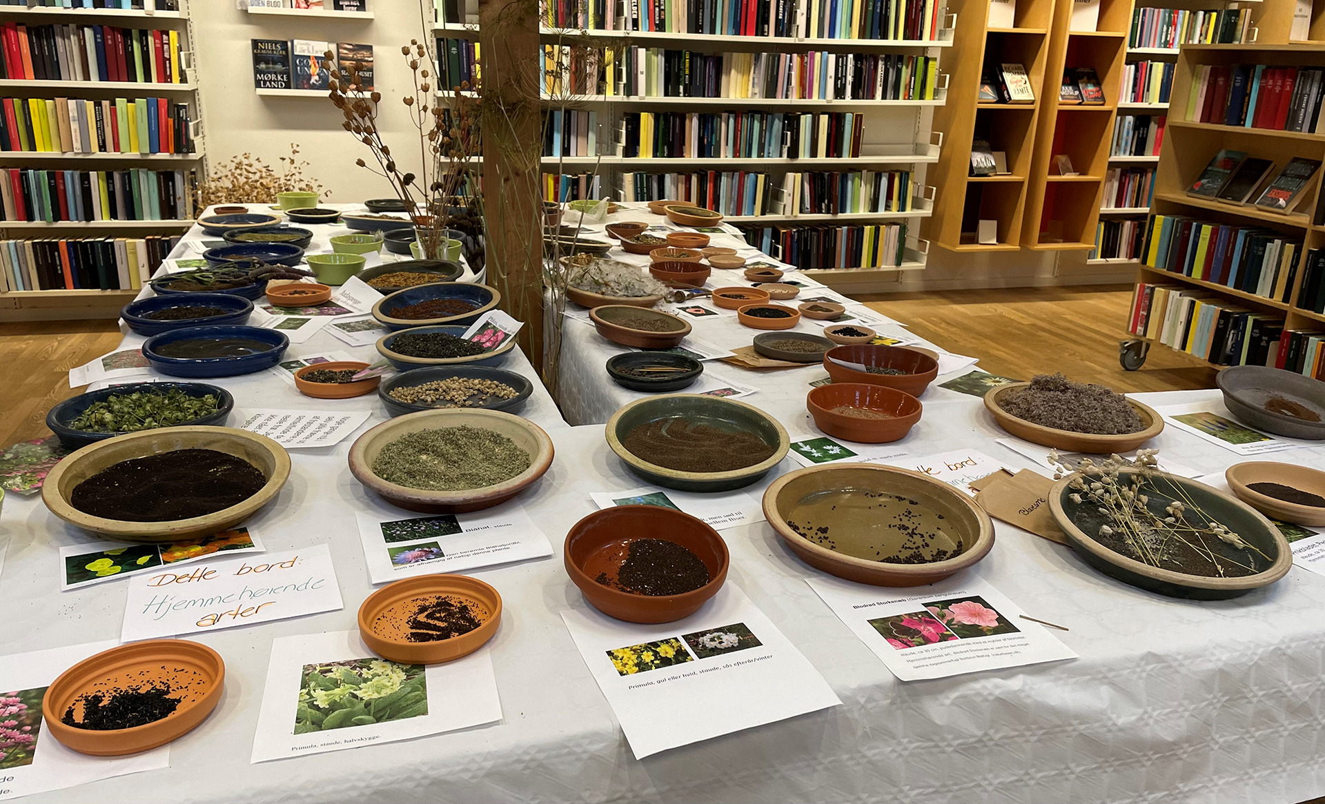 Oplev frøsamling og makerspace på BLIK - Græsted Bibliotek