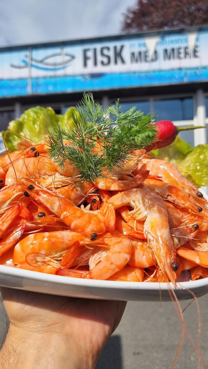 Opslagstavlen: Nyeste opdateringer fra Kolding