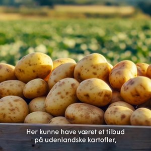 Opslagsbillede