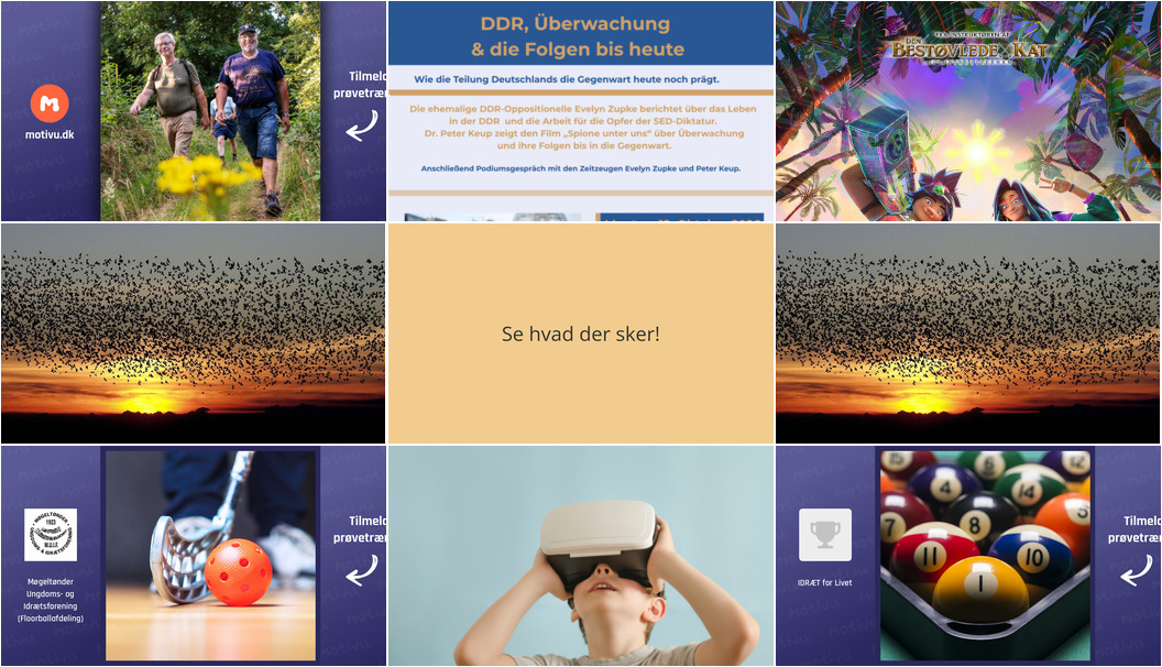 Ugen i Tønder: Fra gåture i naturen til VR-spil og historiske foredrag