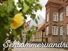 Sensommervandringer i det gamle Viborg