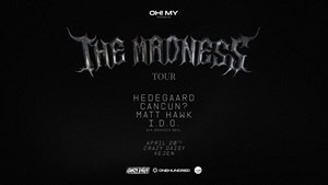 Artists on stage: En aften med tunge beats i Vejen