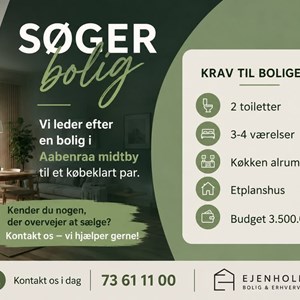 Opslagsbillede