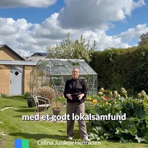 Opslagsbillede