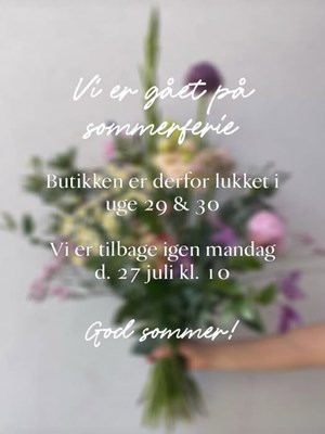 opslagsbillede