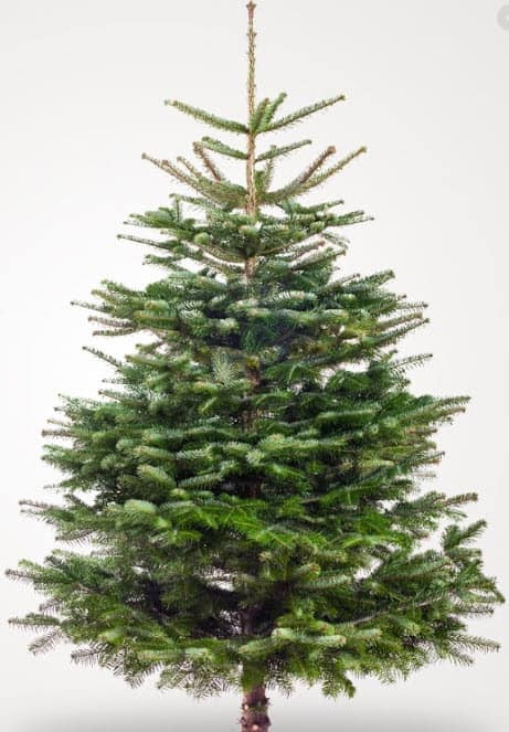 Det nyeste på Brønderslevs opslagstavle