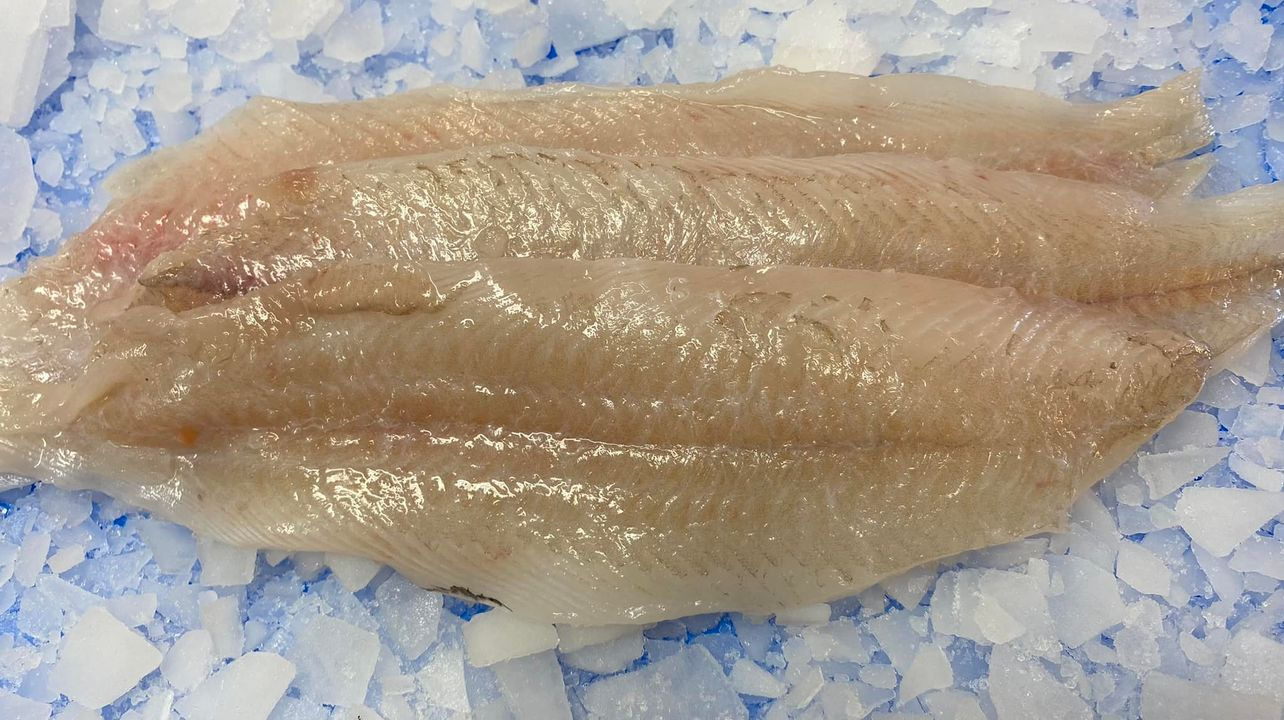 Nye friske fiskepriser fra Hanstholm Auction Buyer: Skærising til 149 kr og gratis levering i Struer og Thy/Mors i uge 48