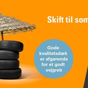 Opslagsbillede