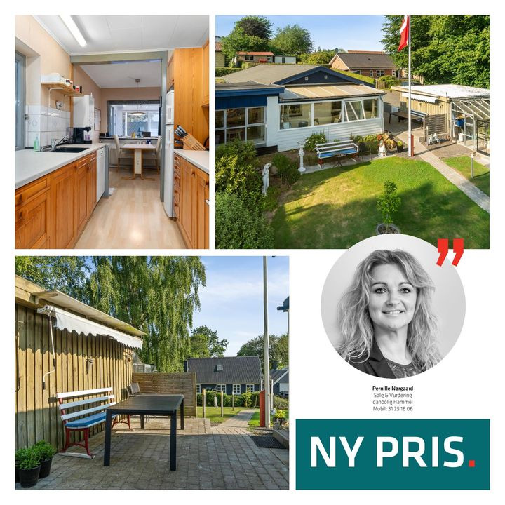 Hold trit med lokalområdet: Nyt fra Hammel