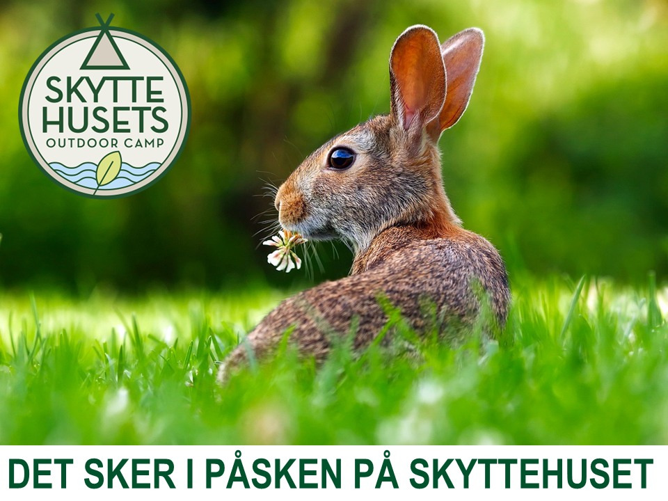 Hyggelig påskeferie hos Skyttehusets Outdoor Camp med familievenlige aktiviteter og ledige pladser