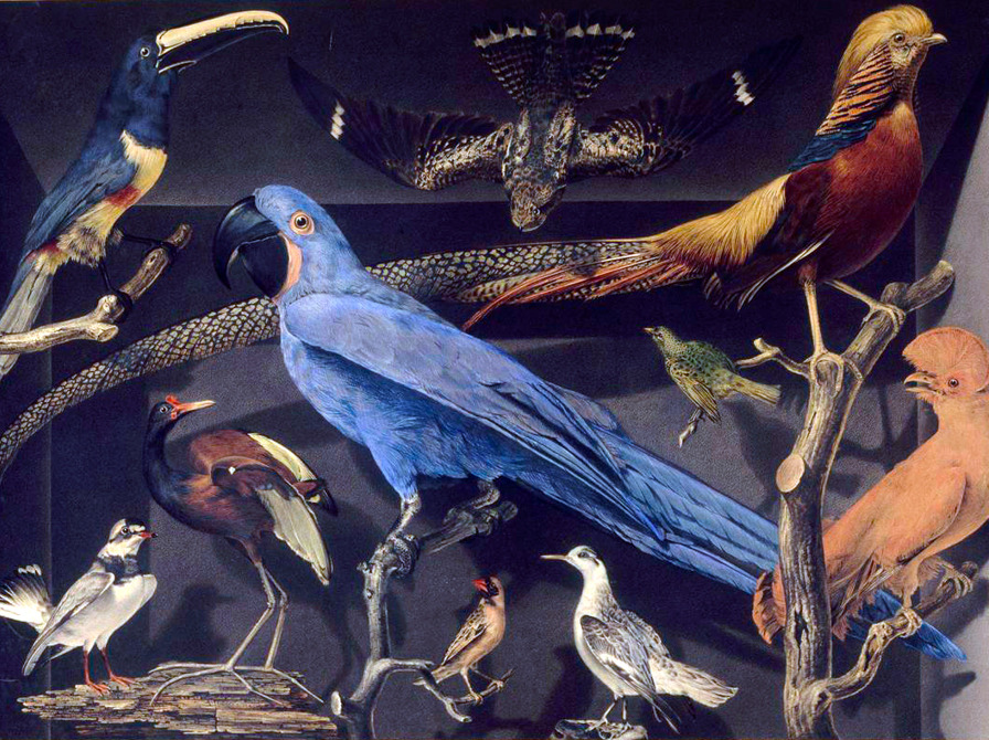 Historiefestival og litteraturinspiration på Birkerød Bibliotek