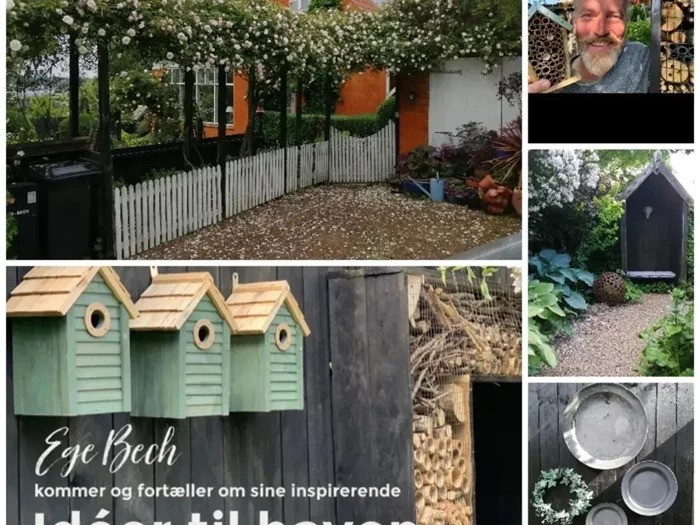 Inspirerende haveforedrag og Dire Straits-hyldest i Thisted