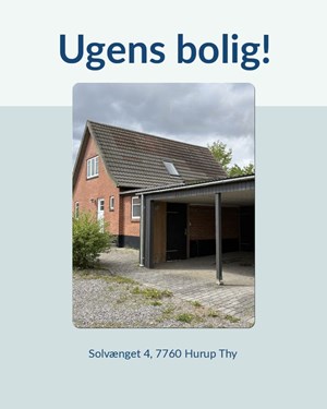 opslagsbillede