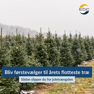 Opslagsbillede