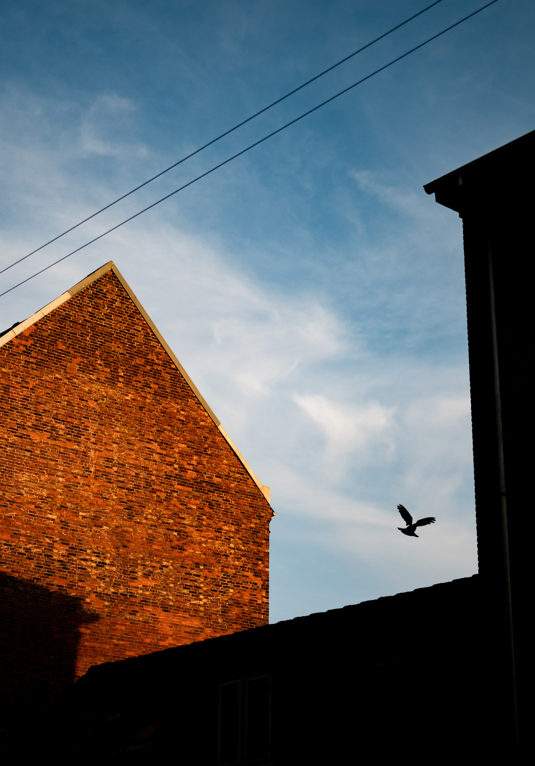 Udforsk nordisk og fransk musik i Esbjerg