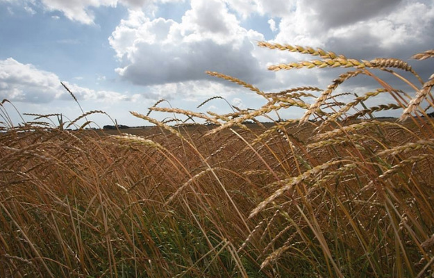 Dagens vigtigste lokale nyheder på sociale medier
