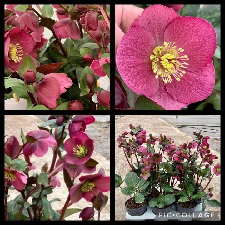 Nyt på opslagstavlen i Silkeborg