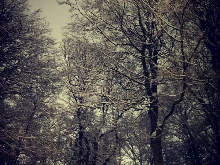 Opdatér dig her: Det nyeste fra Skive