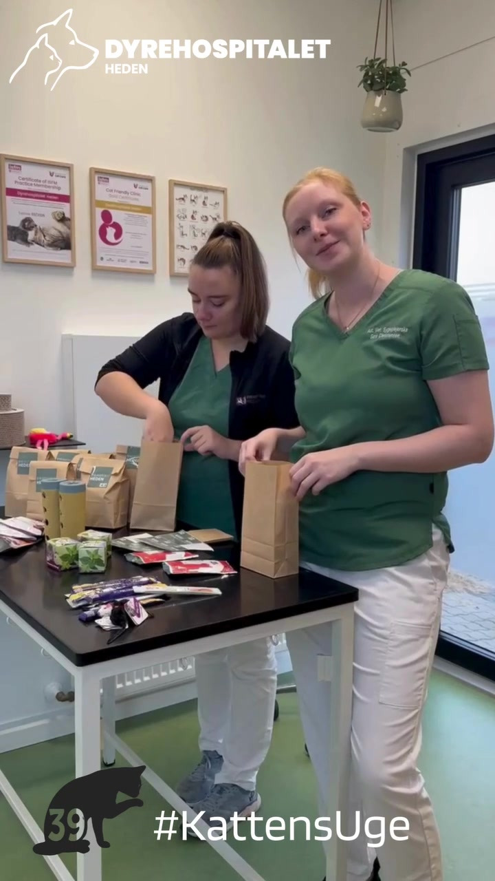 Dyrehospitalet Heden ApS fejrer kattens uge med goodiebags i hele uge 39