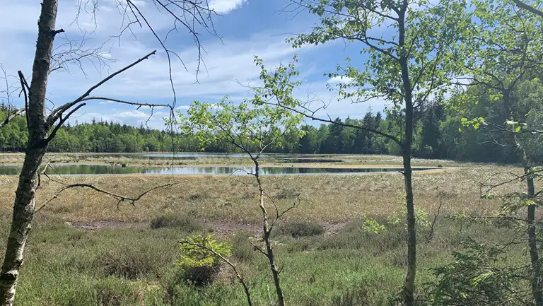 Norddjurs Kommune i kamp om EU-pris for banebrydende naturprojekt