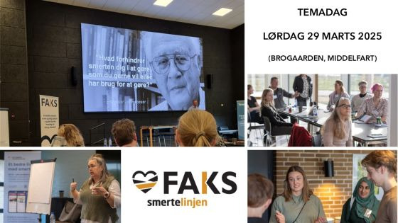 Temadag om smertemestring i Middelfart