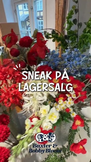 opslagsbillede