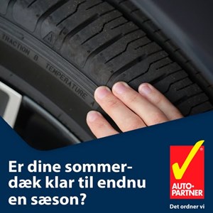 Opslagsbillede
