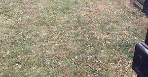 opslagsbillede