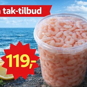 Opslagsbillede