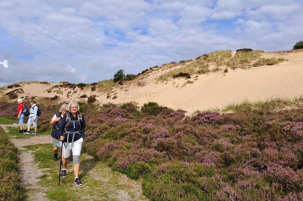 Unikke vandreture i Vejle: Oplev istidslandskab, skove og søer på fire forskellige datoer i 2024