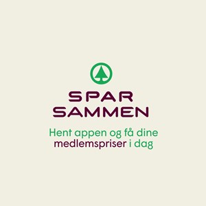 Opslagsbillede