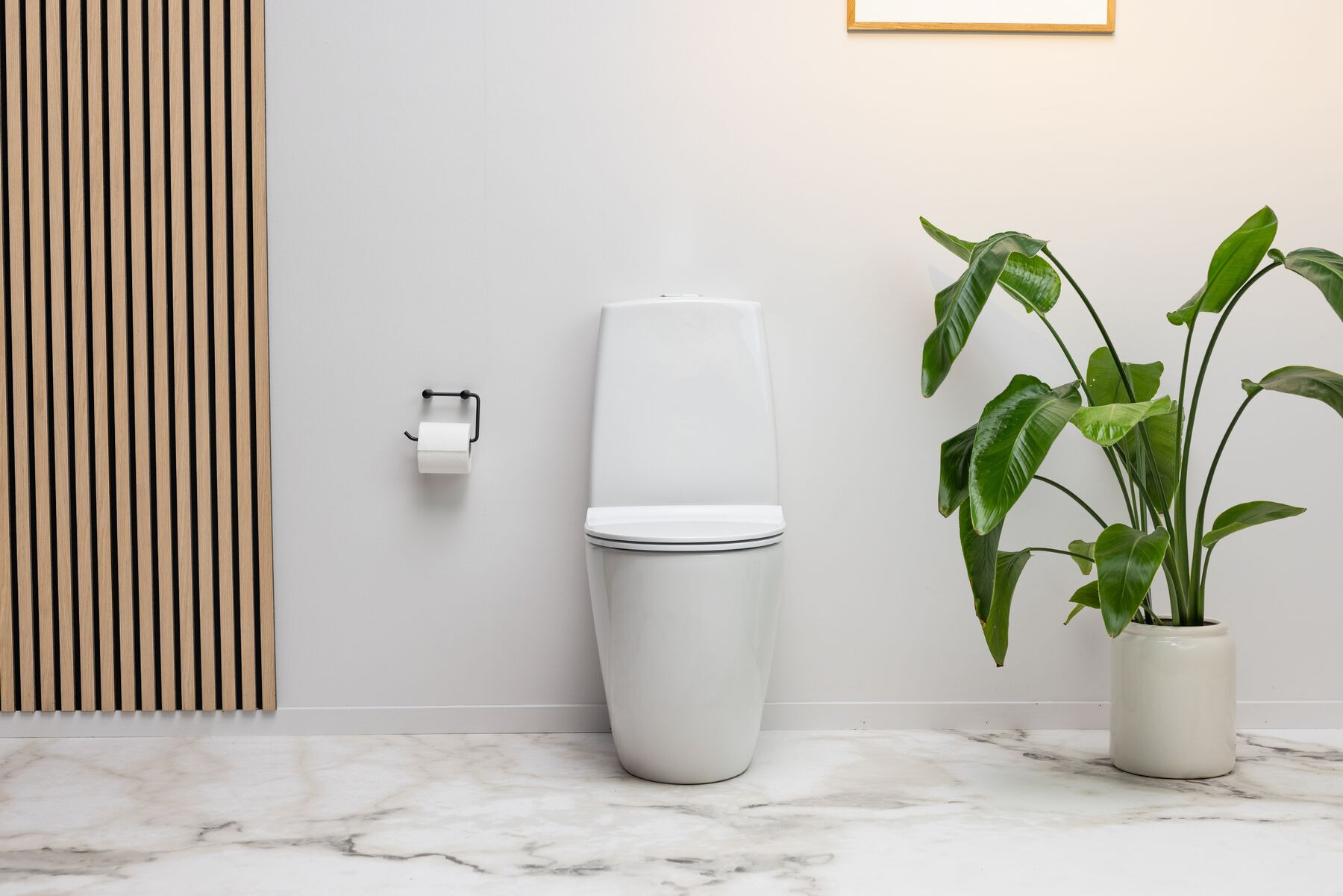 Mere end et sæde – toiletters mange ansigter i det moderne samfund