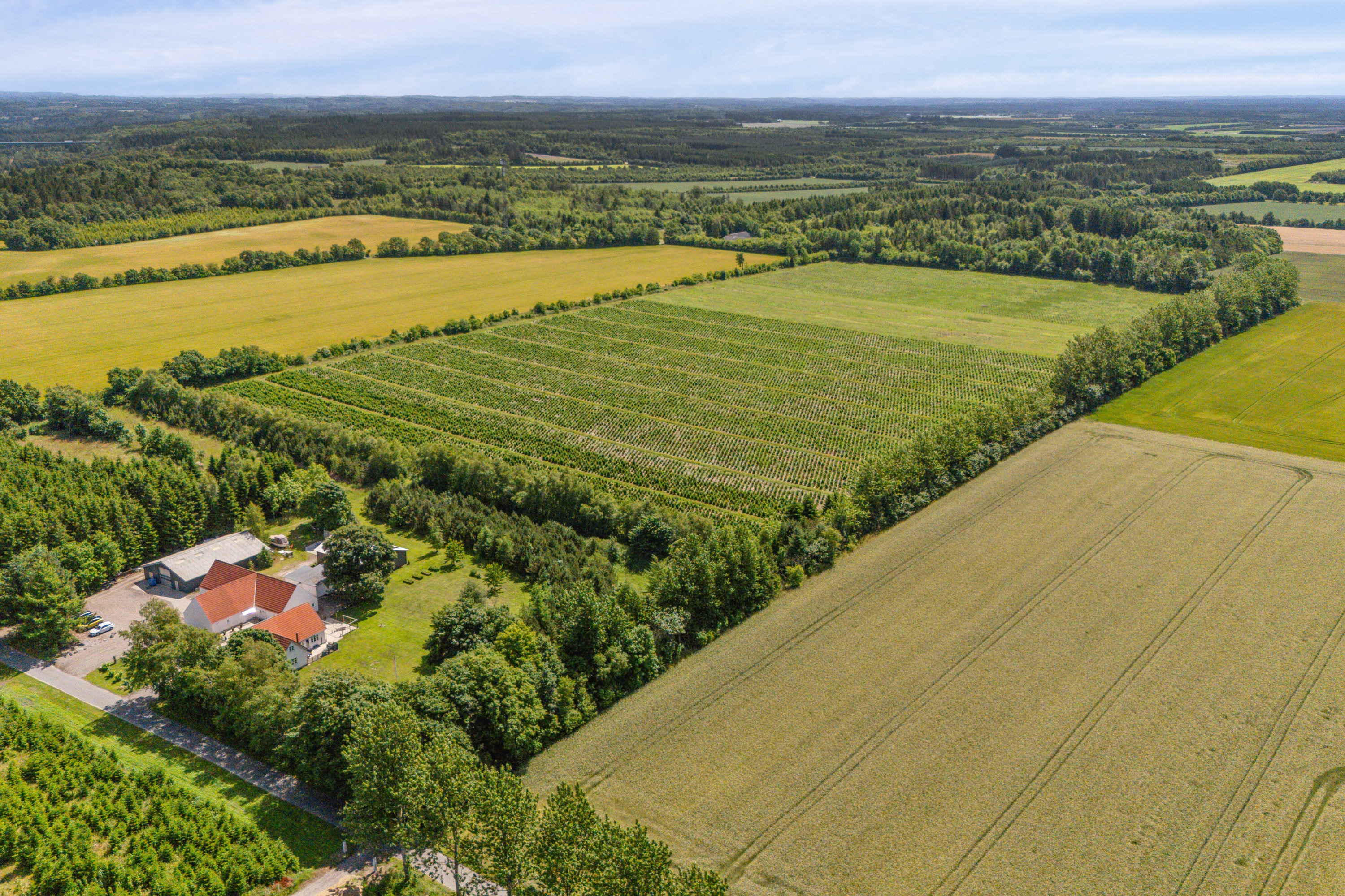 Top 6 over dyreste boliger til salg i Engesvang. Priser op til 4.875.000 kr