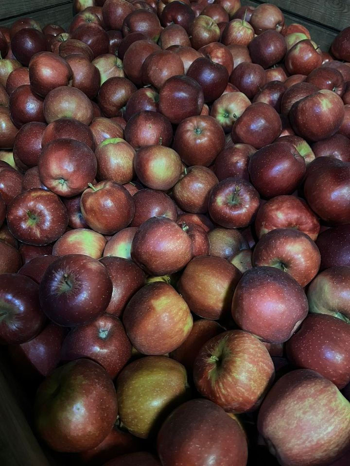 Hold trit med lokalområdet: Nyt fra Odder