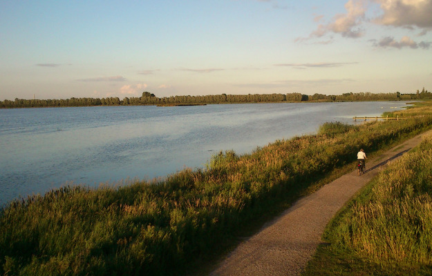 Egås nye, digitale ugeavis er mere lokal end nogensinde