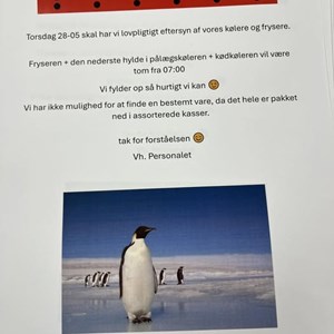 Opslagsbillede