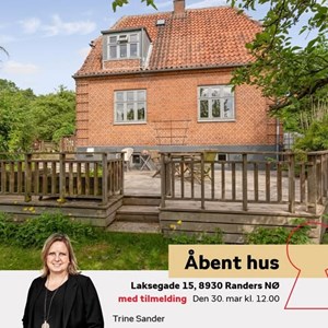 Opslagsbillede