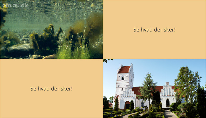 Foredrag om havets tilstand og energisk gospel i Herlufmagle - Her er hvad ugen byder på