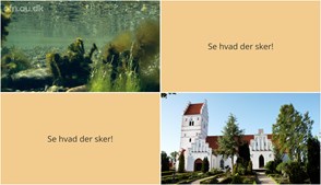 Foredrag om havets tilstand og energisk gospel i Herlufmagle - Her er hvad ugen byder på